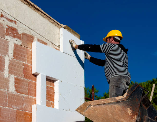 Best Cellulose Insulation in Martins Ferry, OH