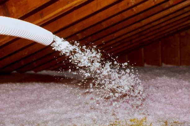Best Insulation Maintenance and Repair in Martins Ferry, OH
