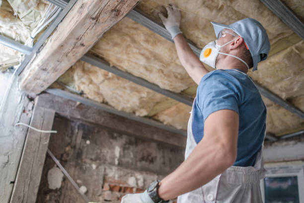 Best DIY Insulation Kits and Guidance in Martins Ferry, OH