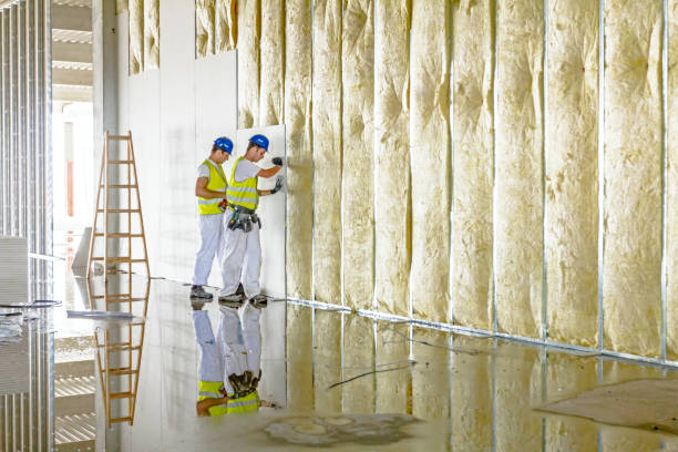 Best Spray Foam Insulation in Martins Ferry, OH